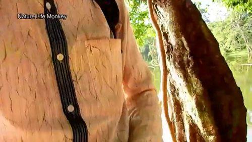 可爱的罗拉在线观看,在线观看的甜蜜冒险之旅 第1张 可爱的罗拉在线观看,在线观看的甜蜜冒险之旅 第1张